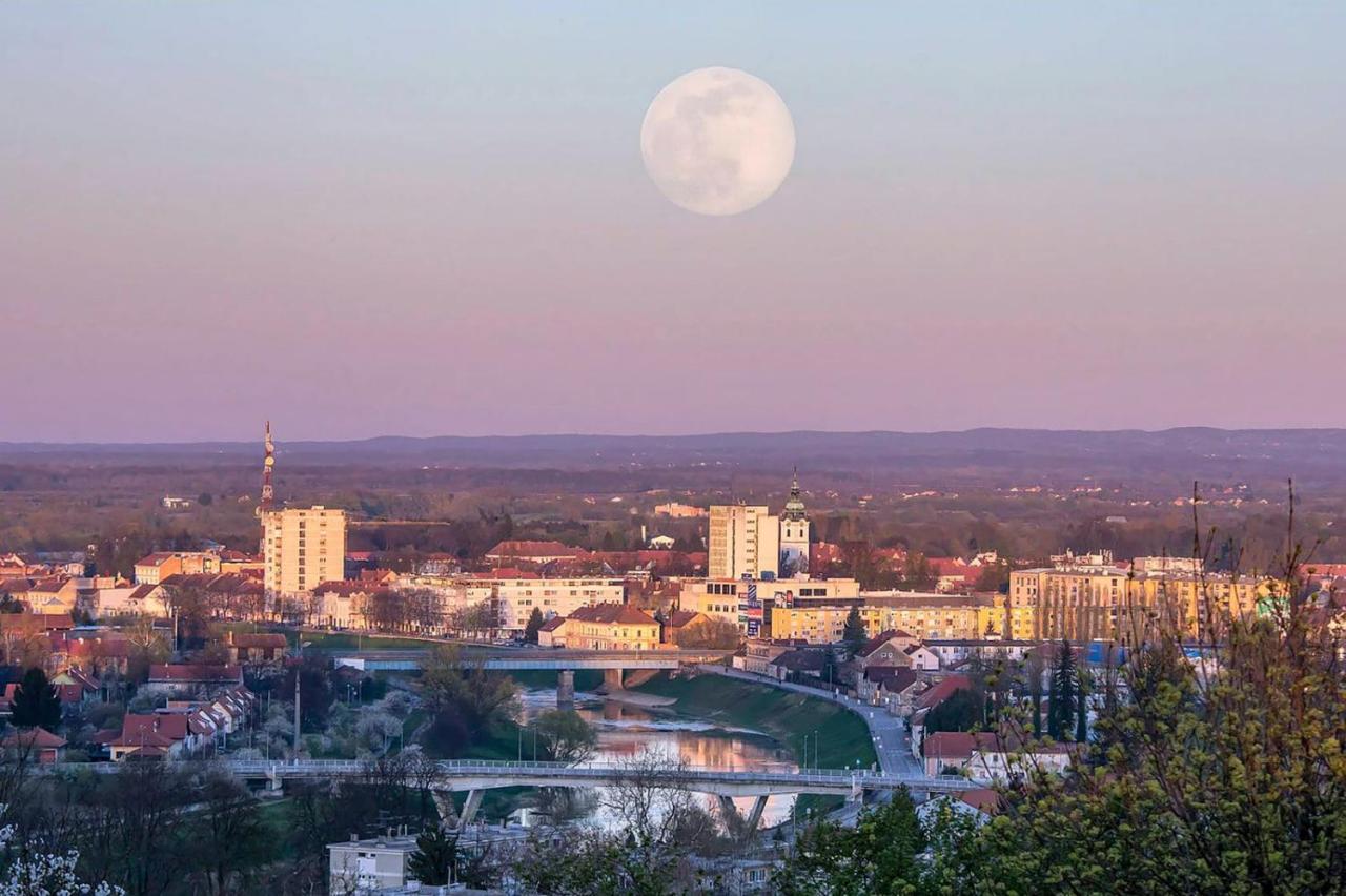 Studio Apartman Four Pearls Karlovac Buitenkant foto